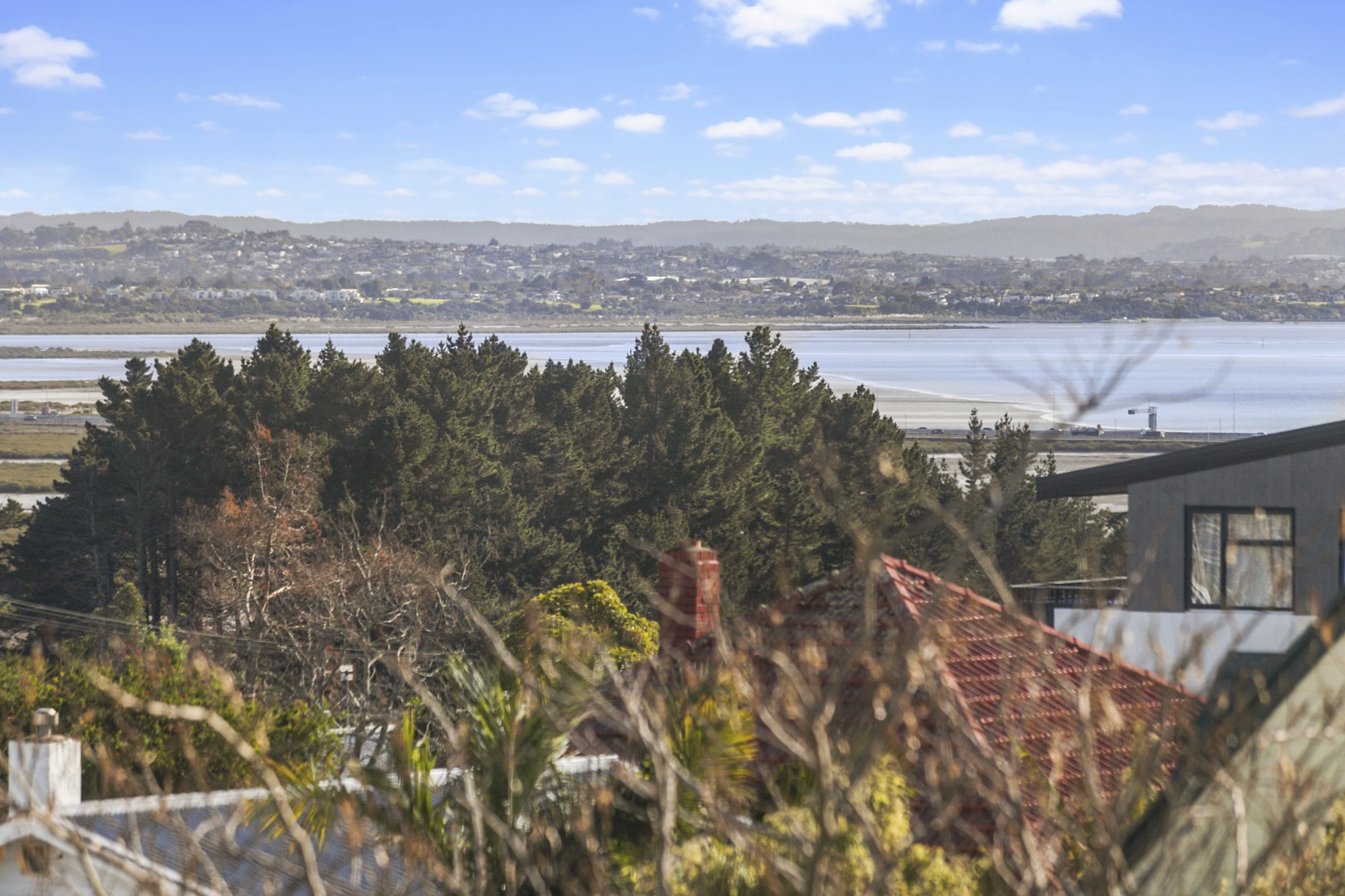 53C Blockhouse Bay Road , Avondale Goodwins